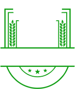 BAT 500 Consulting